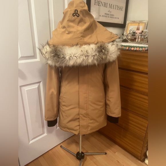 Aritzia TNA Haven Goose Down Parka in Gold/Tan - Picture 4 of 8